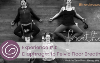 Diaphragm to Pelvic Floor