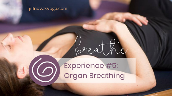 Organ Breathing